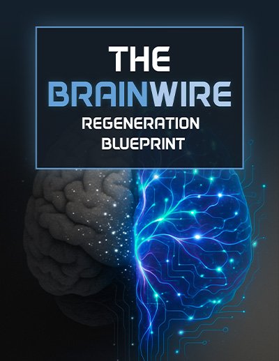 Bonus #2 – “The Brainwire Regeneration Blueprint” (eBook)